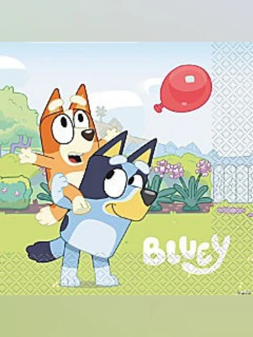 Bluey Party Box!